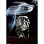 POLYCARBONATE MOLD SKULL 27.5X13.5X2.4CM