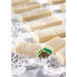 POLYCARBONATE MOLD THANKS SIDE 27.5X13.5X2.4CM