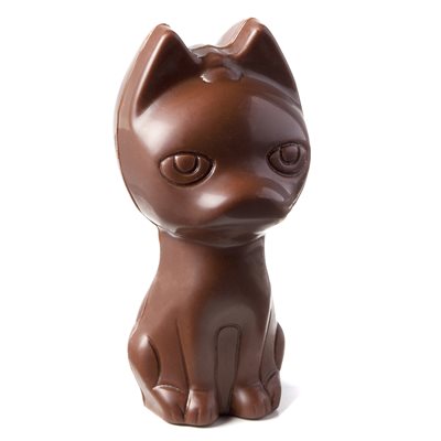 POLYCARBONATE MOLD XICO 55MM 27.5X13.5X2.4CM