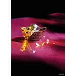 POLYCARBONATE MOLD SYCEE 27.5X13.5X2.4CM