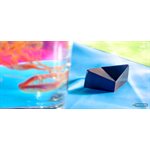 POLYCARBONATE MOLD BUDDY TRINIDAD 27.5X13.5X2.4CM