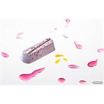 POLYCARBONATE MOLD BAR WITH LINE 27.5X13.5X2.4CM