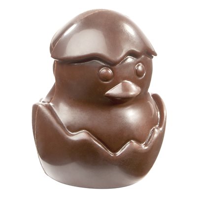 POLYCARBONATE MOLD CHICK FROM EGG 27.5X13.5X2.4CM
