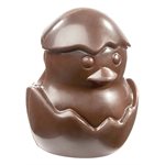 POLYCARBONATE MOLD CHICK FROM EGG 27.5X13.5X2.4CM