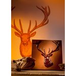 POLYCARBONATE MOLD TABLET STAG 27.5X13.5X2.4CM