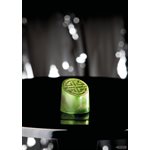 POLYCARBONATE MOLD JADE STAMP 27.5X13.5X3CM