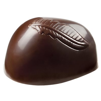 POLYCARBONATE MOLD WCM ROGER FOK 27X13.5X3CM