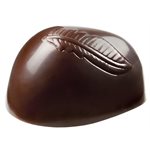 POLYCARBONATE MOLD WCM ROGER FOK 27X13.5X3CM