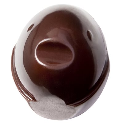 POL.MLD WCM CHIA FENG TSAI 27.5X13.5X3CM