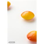 POLYCARBONATE MOLD LENS 27.5X13.5X2.4CM