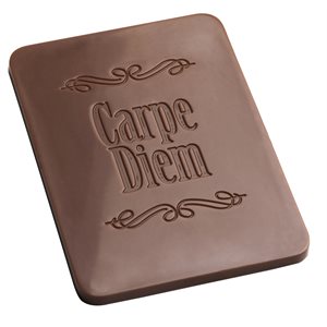 POL.MLD CARAQUE CARPE DIEM 27.5X13.5X2.4CM