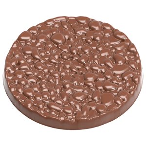 POLYCARBONATE MOLD RICE CRACKER 27.5X13.5X2.4CM