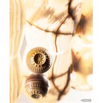 CHOC. MOULD BELLE EPOQUE STAR 27.5X13.5X2.4CM