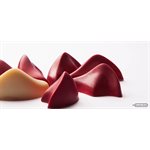 CHOC. MOULD PRALINE DEDY 27.5X13.5X2.6CM