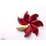 CHOC. MOULD PRALINE DEDY 27.5X13.5X2.6CM