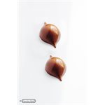 CHOC. MOULD PRALINE CURVE 27.5X13.5X2.4CM