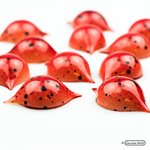 CHOC. MOULD PRALINE CURVE 27.5X13.5X2.4CM