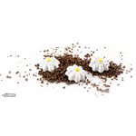 POLYCARBONATE MOLD DUTCH FLOWER