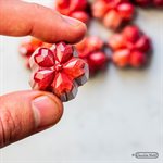 POLYCARBONATE MOLD SAKURA ORIGAMI