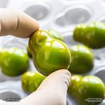 POLYCARBONATE MOLD PEAR BY ANDREY DUBOVIK