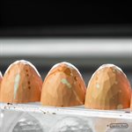 POLYCARBONATE MOLD BULLET FACET