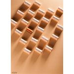 POLYCARBONATE MOLD BUCHE FACET