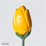 CHOCOLATE MOULD TULIP