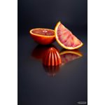 POLYCARBONATE MOLD THE JUICER