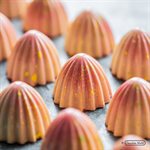 POLYCARBONATE MOLD THE JUICER