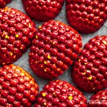 POLYCARBONATE MOLD PATRICK DE VRIES