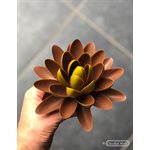 POLYCARBONATE MOLD LENS OVAL