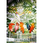 POLYCARBONATE MOLD LOLLIPOP TROPICAL BIRDS