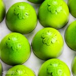 POLYCARBONATE MOLD AMERICAN TRUFFLE