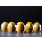 POLYCARBONATE MOLD COCONUT