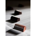 POLYCARBONATE MOLD BUCHE PLEATED