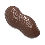 POLYCARBONATE CHOCOLATE MOULD PEANUT