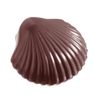 POLYCARBONATE MOLD SMALL SHELL 27.5X17.5X2.4CM