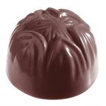 POLYCARBONATE MOLD HAZELNUT 27.5X17.5X2.4CM