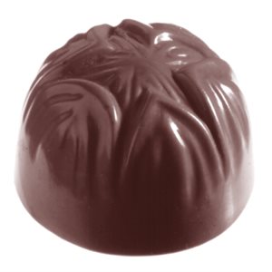 POLYCARBONATE MOLD HAZELNUT 27.5X17.5X2.4CM