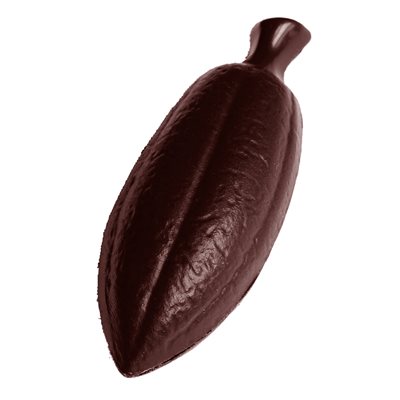 POLYCARBONATE MOLD CACAOBEAN 27.5X17.5X2.4CM