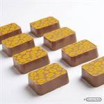 POLYC. MOLD MAGN. RECT ENROBED 27.5X13.5X2.4CM