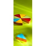 POLYC. MOLD MAGN. TRIANGLE SLICE 27.5X13.5X2.4CM