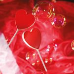 POLYC MOLD MAGNETIC LOLLYPOP HEART 27.5X17.5X2.4CM