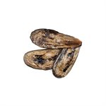 GRILLED EGGPLANT MARINATED IN OIL, 63.4 OZ / 1.8 KG X 2 