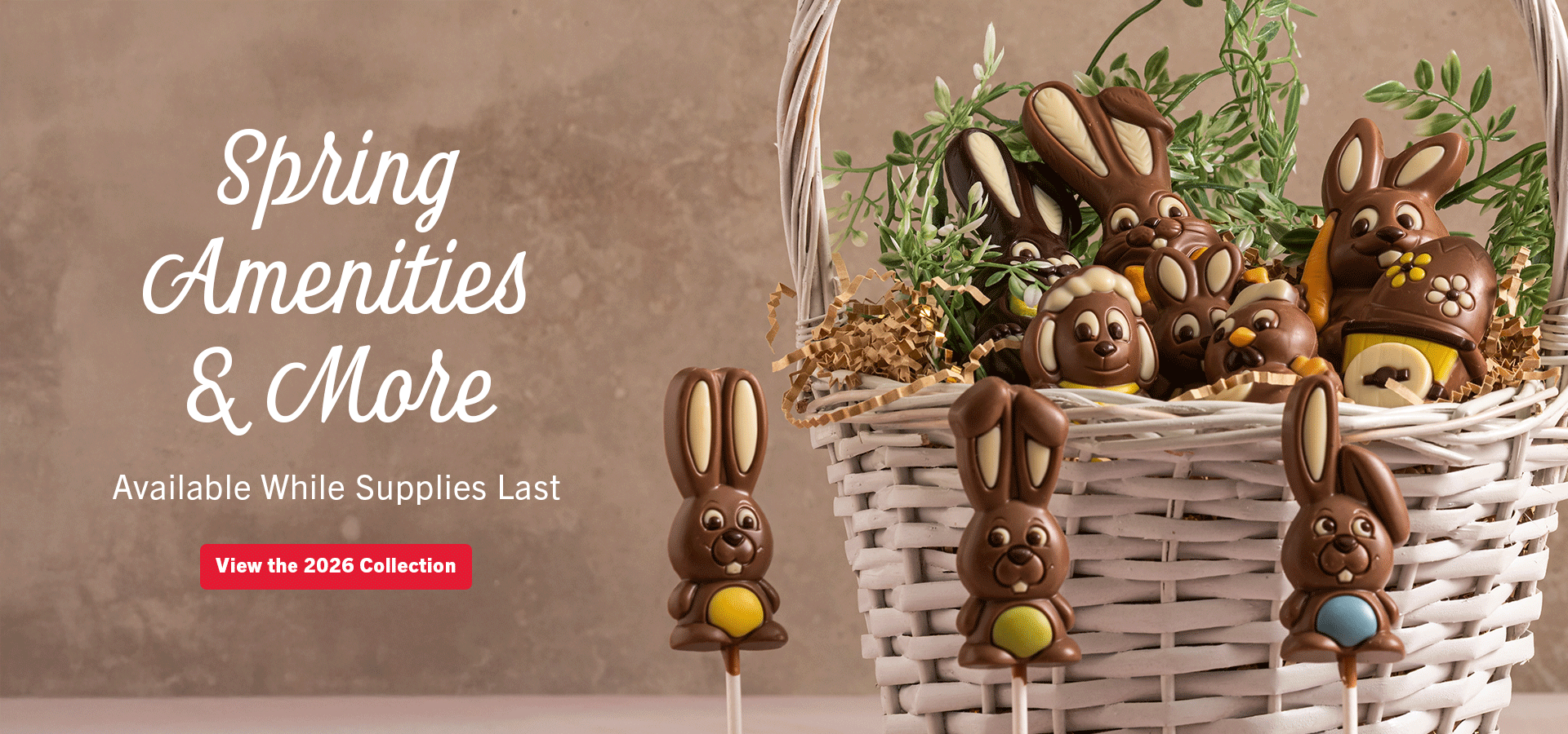 aui-hero-image-2026-spring-wsl