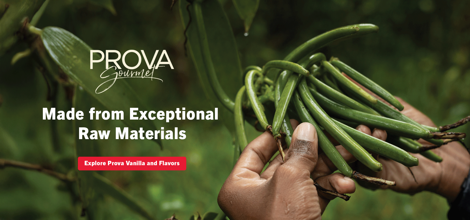 aui-hero-image-prova-brand-focus-b